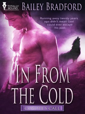 cover image of In from the Cold